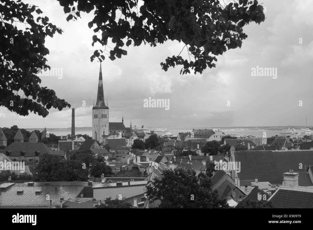 Cityscape with old castle towes of Tallinn Estonia Stock Photo