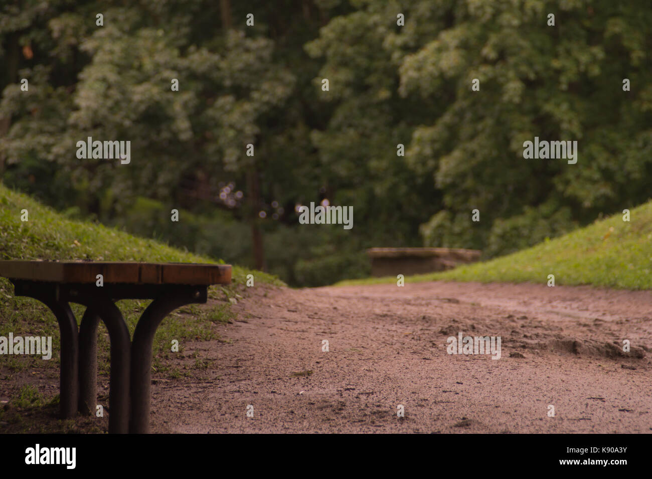 bench standing alone in the park background Stock Photo - Alamy