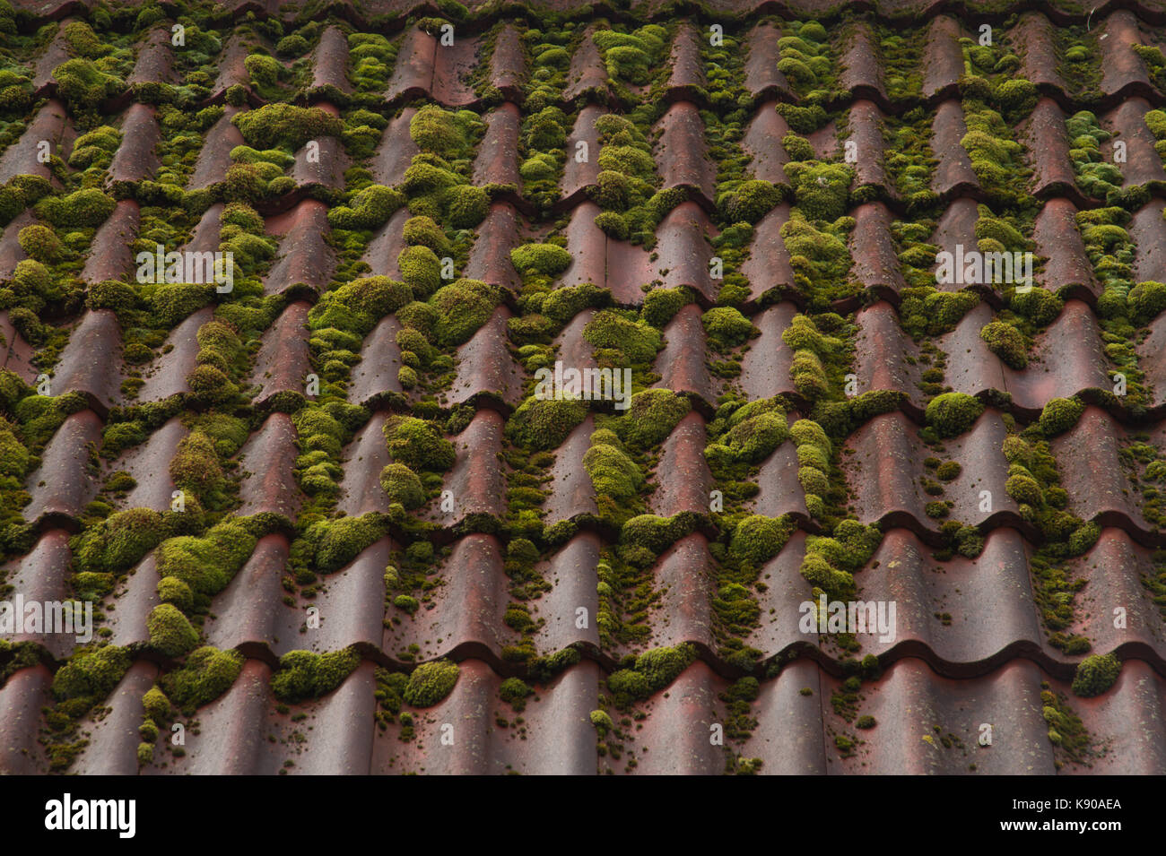 Ask The Expert Can Chlorine Be Used On Tiles