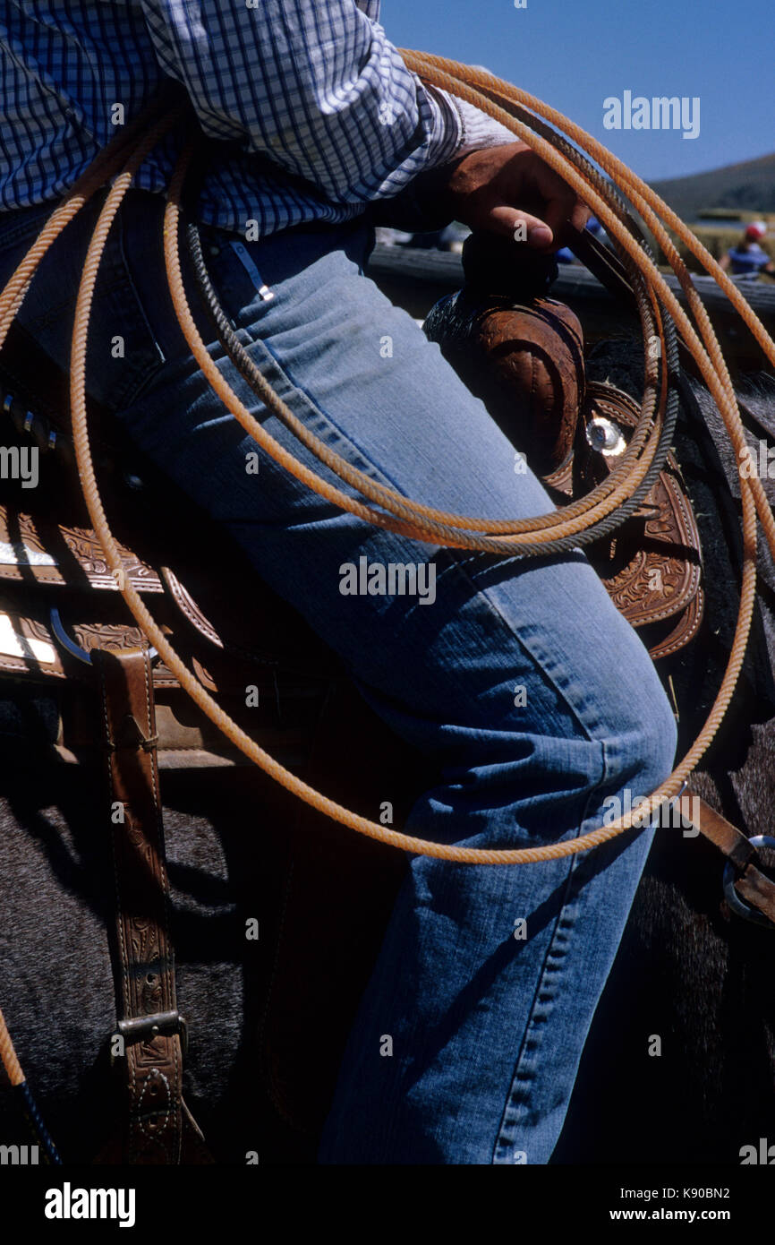 Haines Rodeo, Haines, Elkhorn National Scenic Byway, Oregon Stock Photo