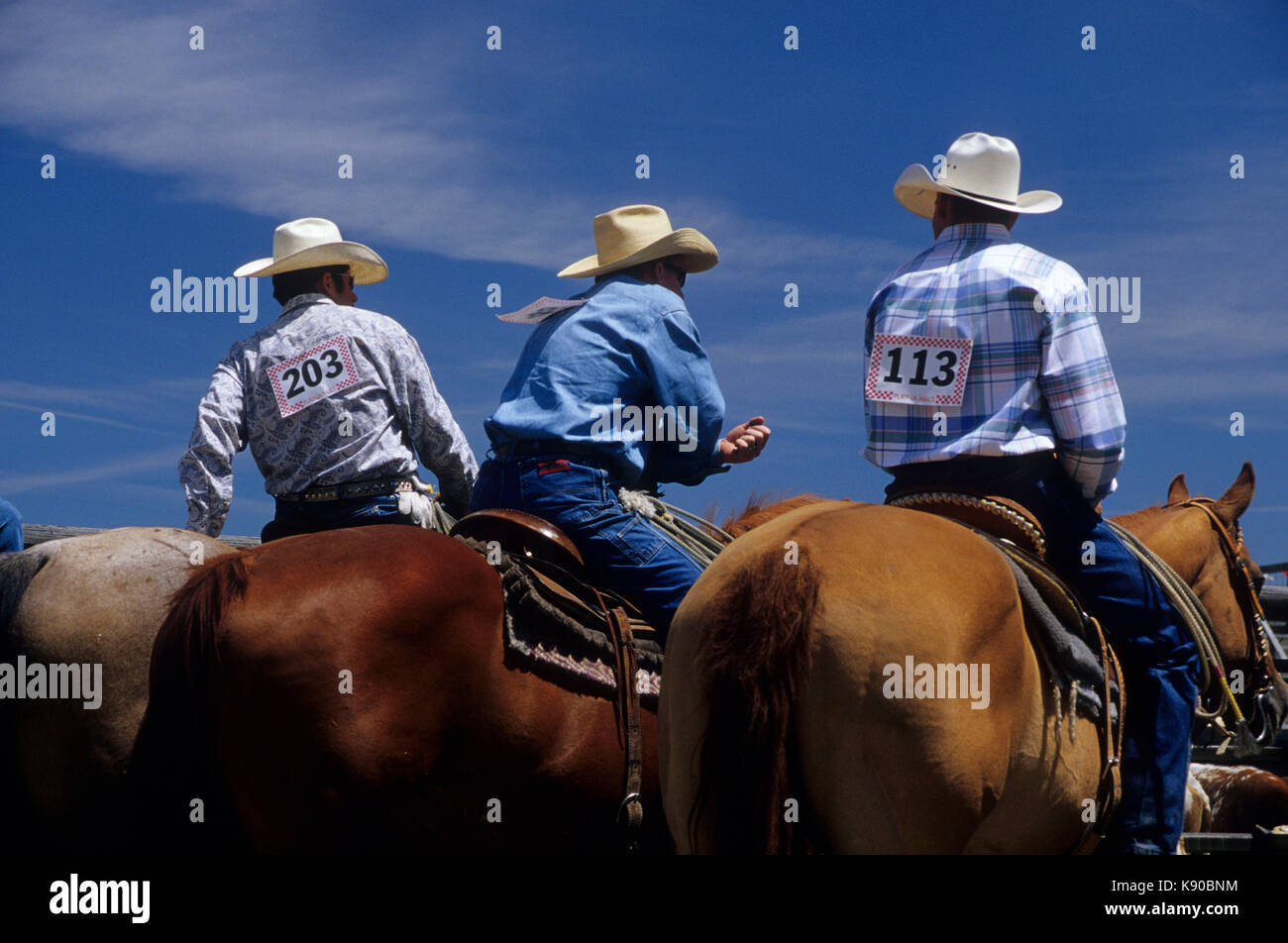 Haines Rodeo, Haines, Elkhorn National Scenic Byway, Oregon Stock Photo