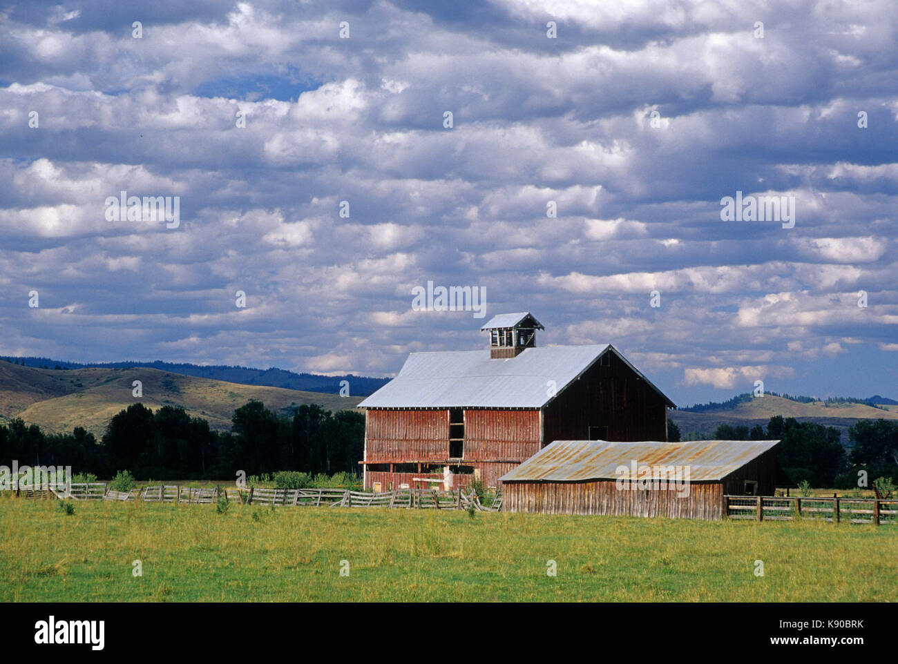 Barn, Halfway, Hells Canyon National Scenic Byway, Oregon Stock Photo