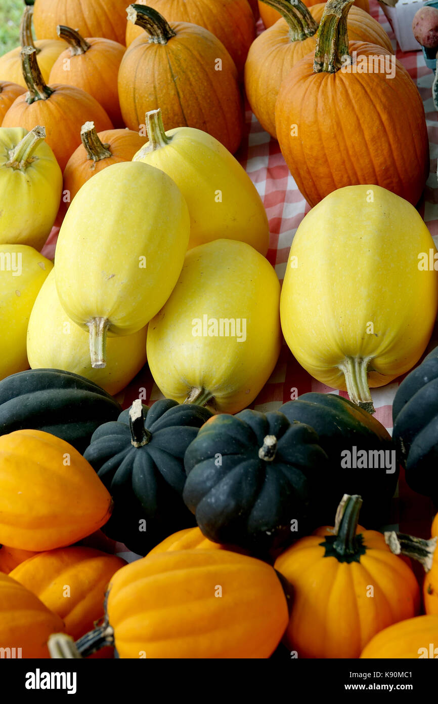 Gourds and pumpkins for eating and decoration Stock Photo