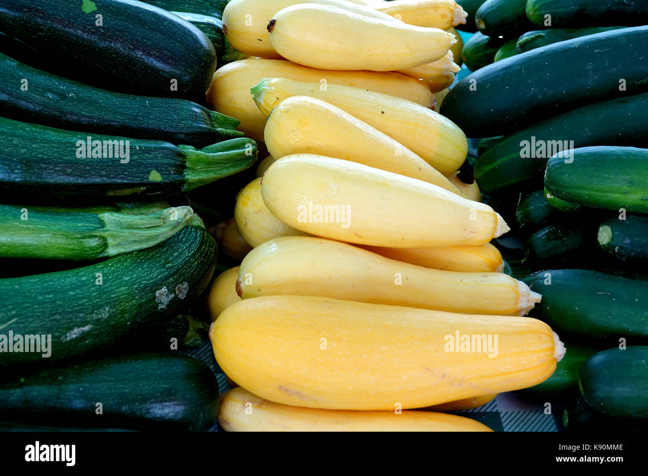 Cucumbers and squash are homegrown and ready to be harvested Stock