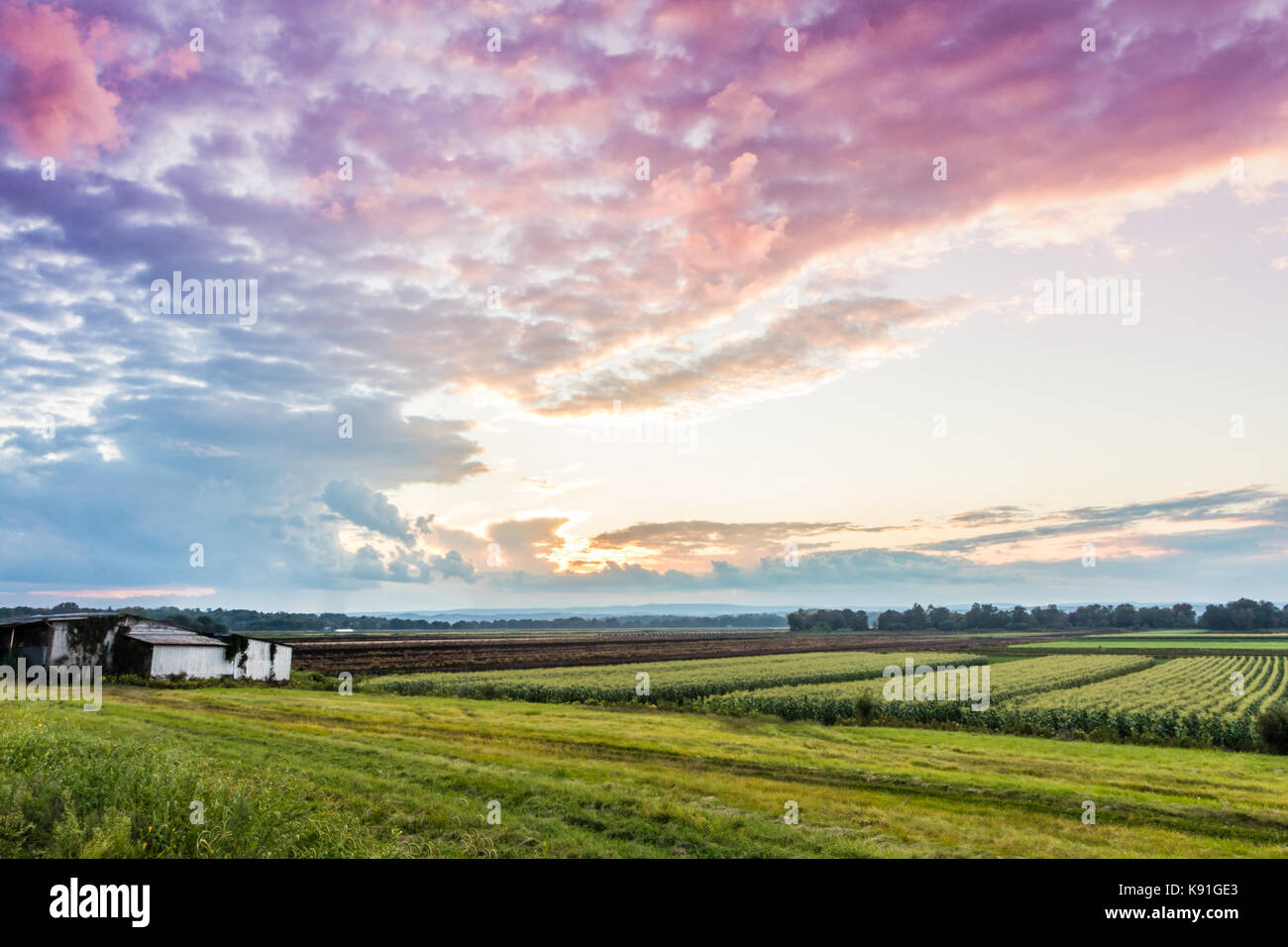 Dramatic summer sunset over a humble farm in the black dirt region of
