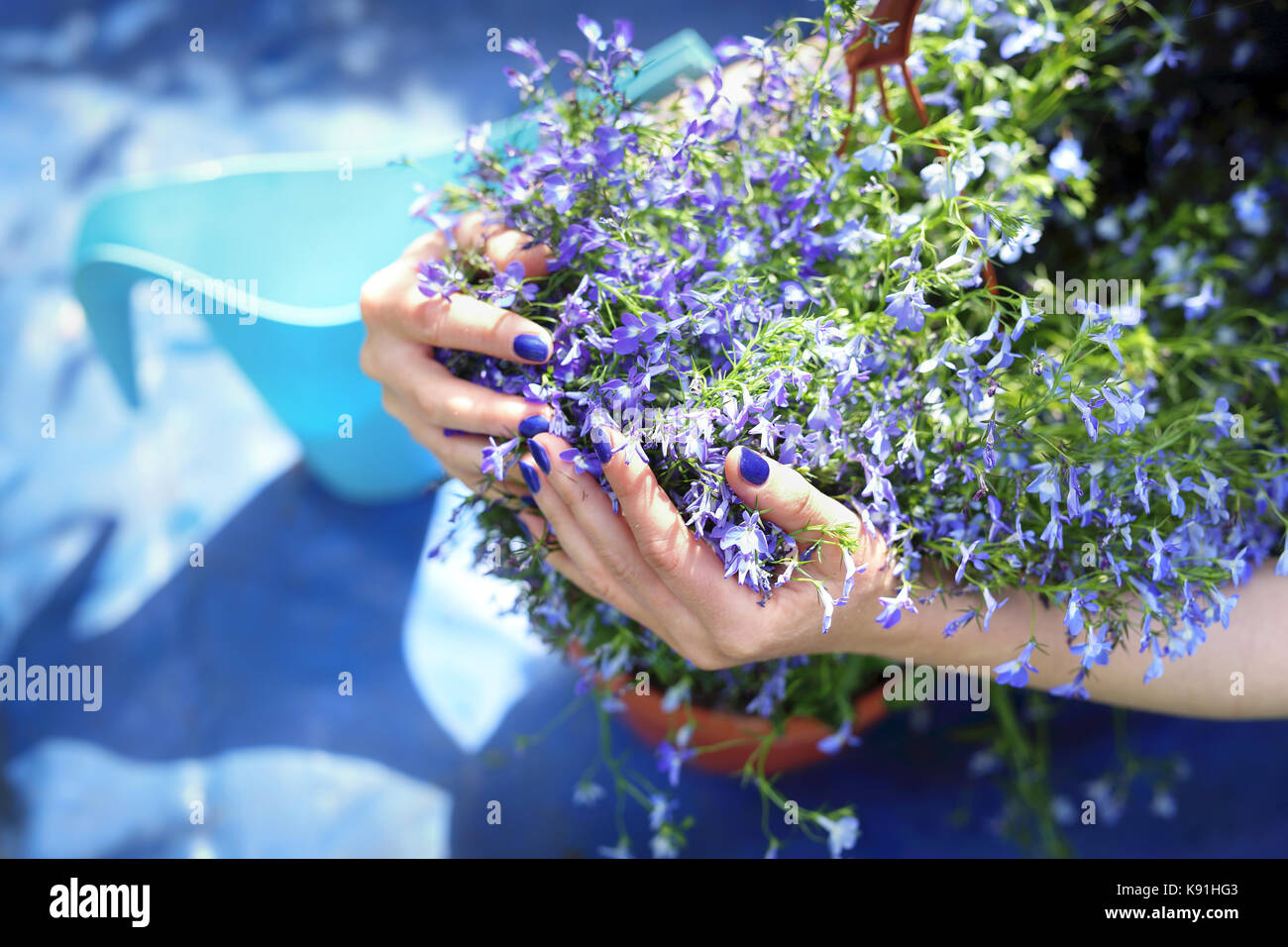 Spring in the garden, plant care. Watering plants Stock Photo Alamy