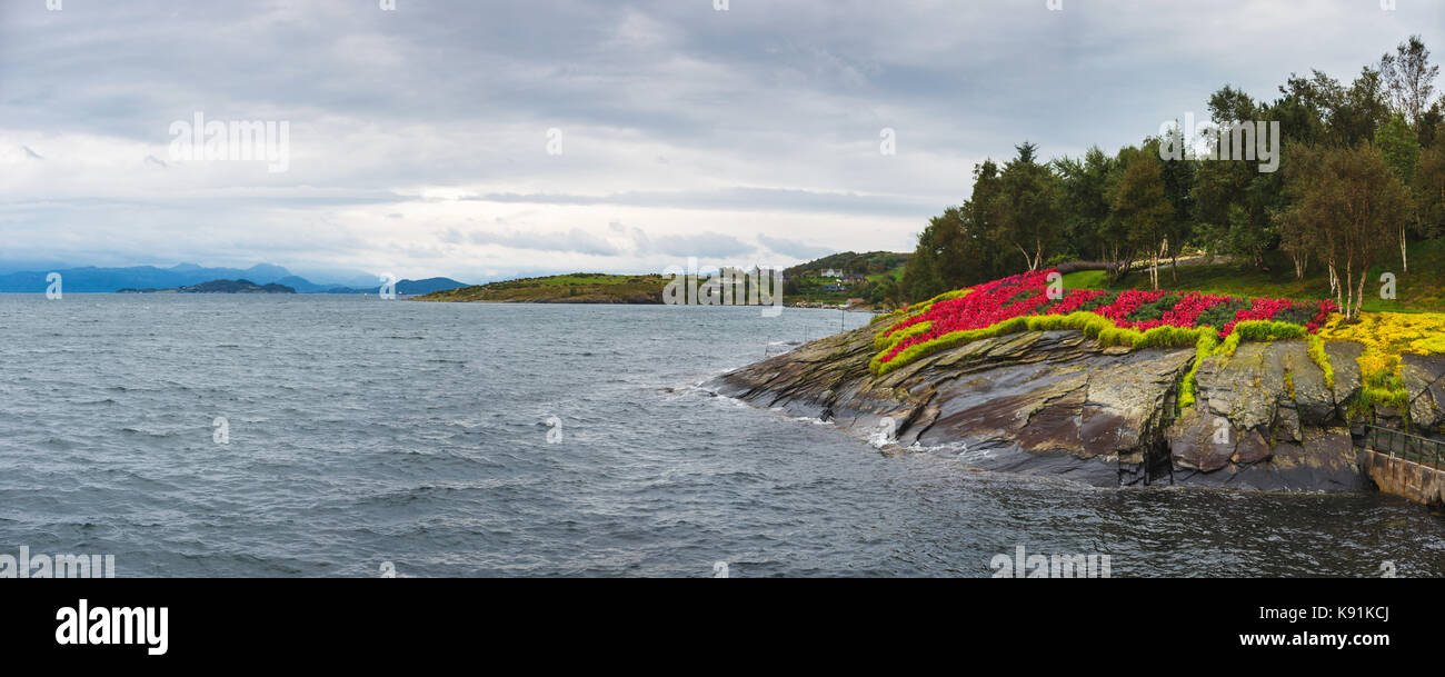 Flowers on the stony shore in panoramic image Stock Photo