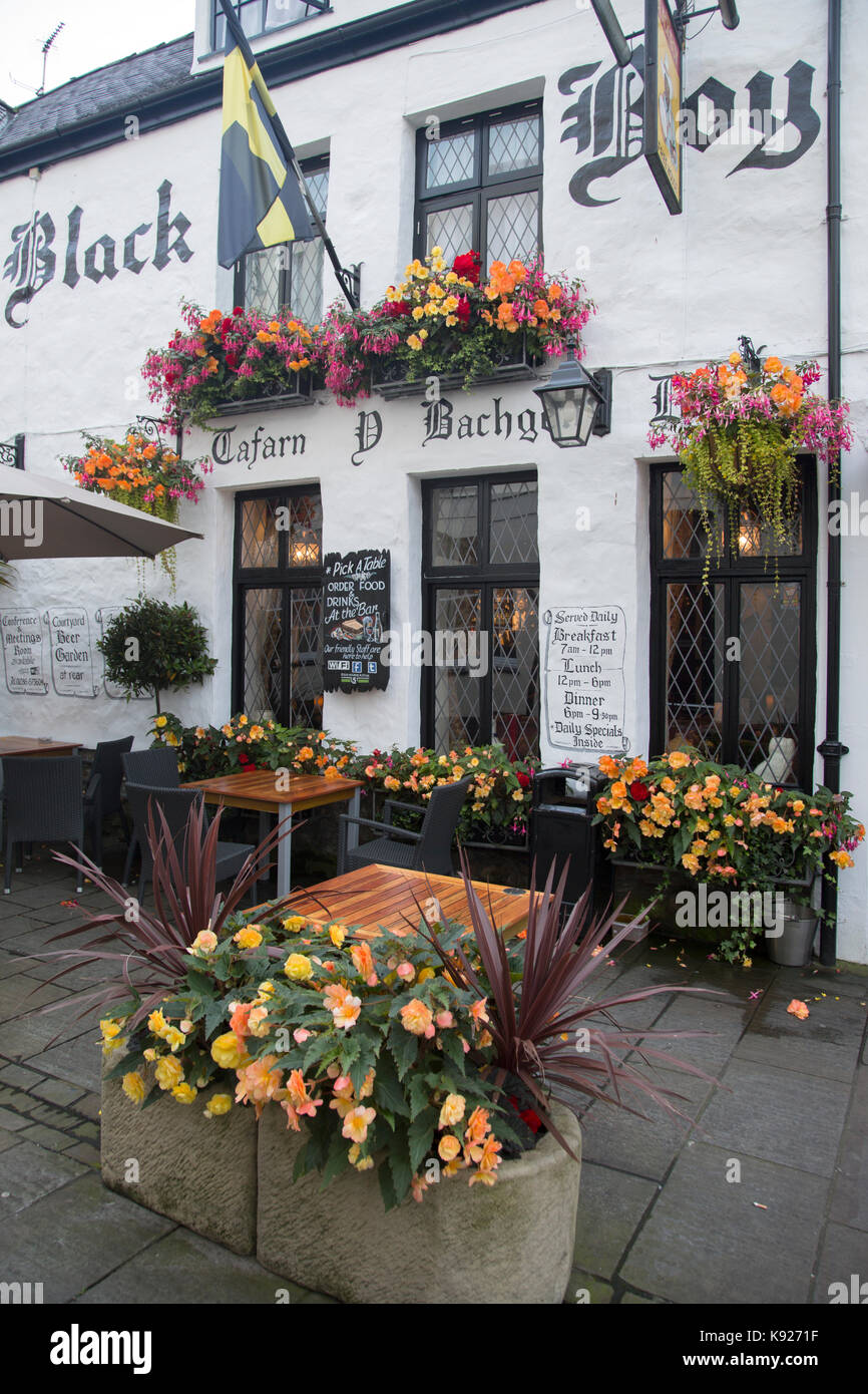 Caernarfon pub wales hires stock photography and images Alamy