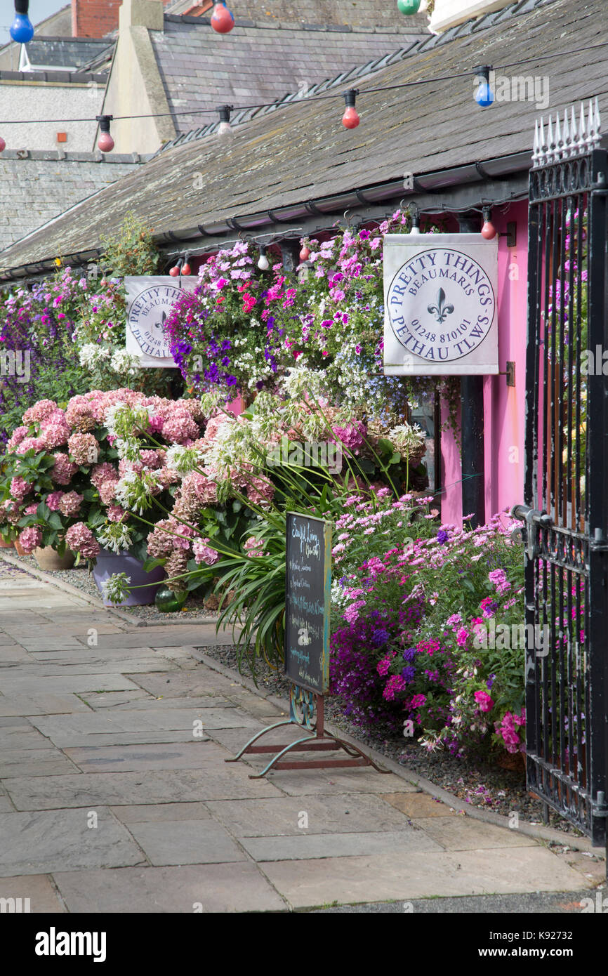Pretty Things Florist, Beaumaris, Anglesey, Wales, UK Stock Photo Alamy
