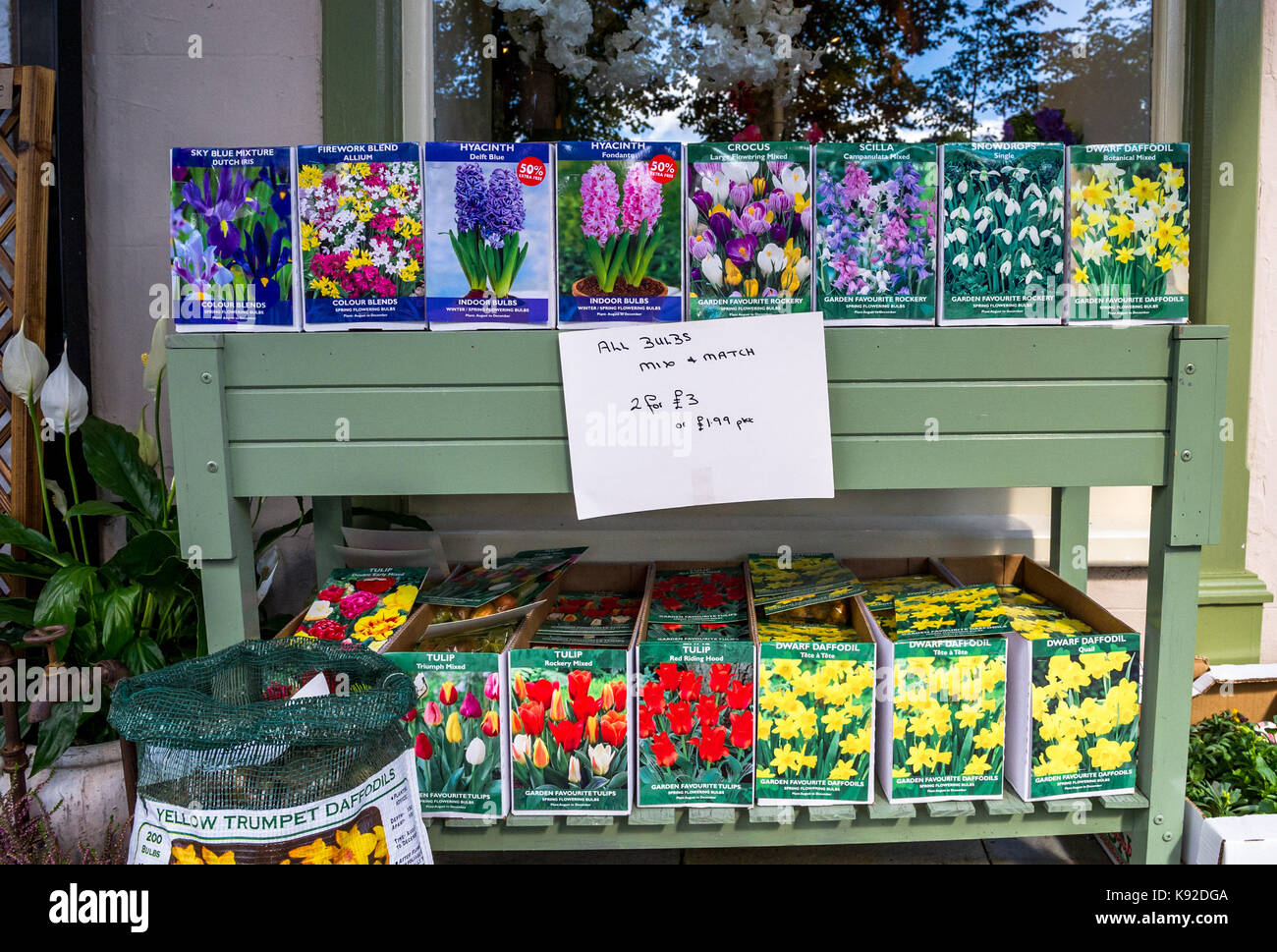 Flower bulbs for sale on a outside stall Stock Photo Alamy