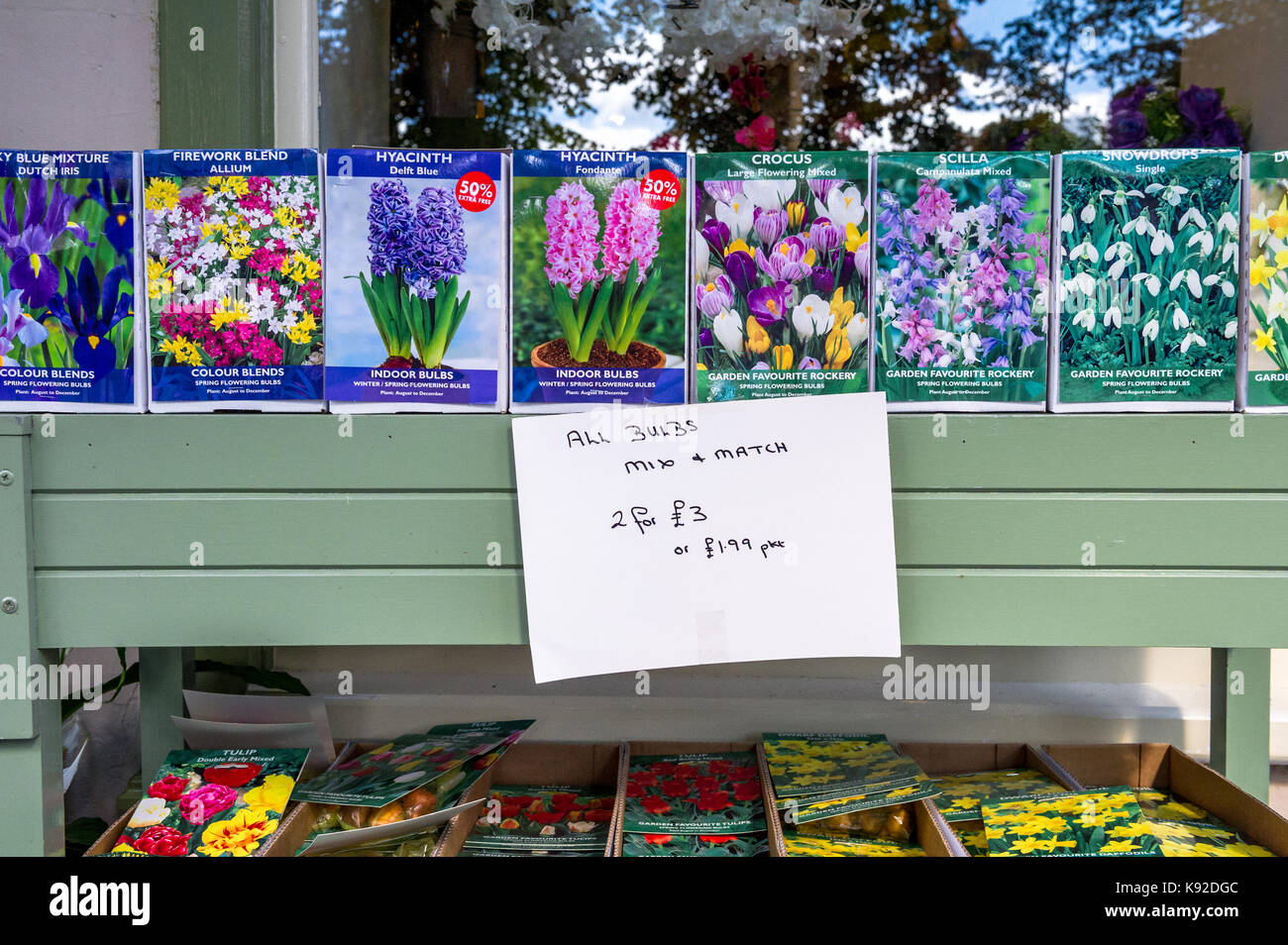 Flower bulbs for sale on a outside stall Stock Photo Alamy