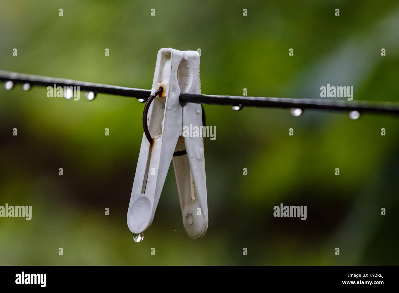 Clothespin on a rope for drying with rain drops Stock Photo Alamy