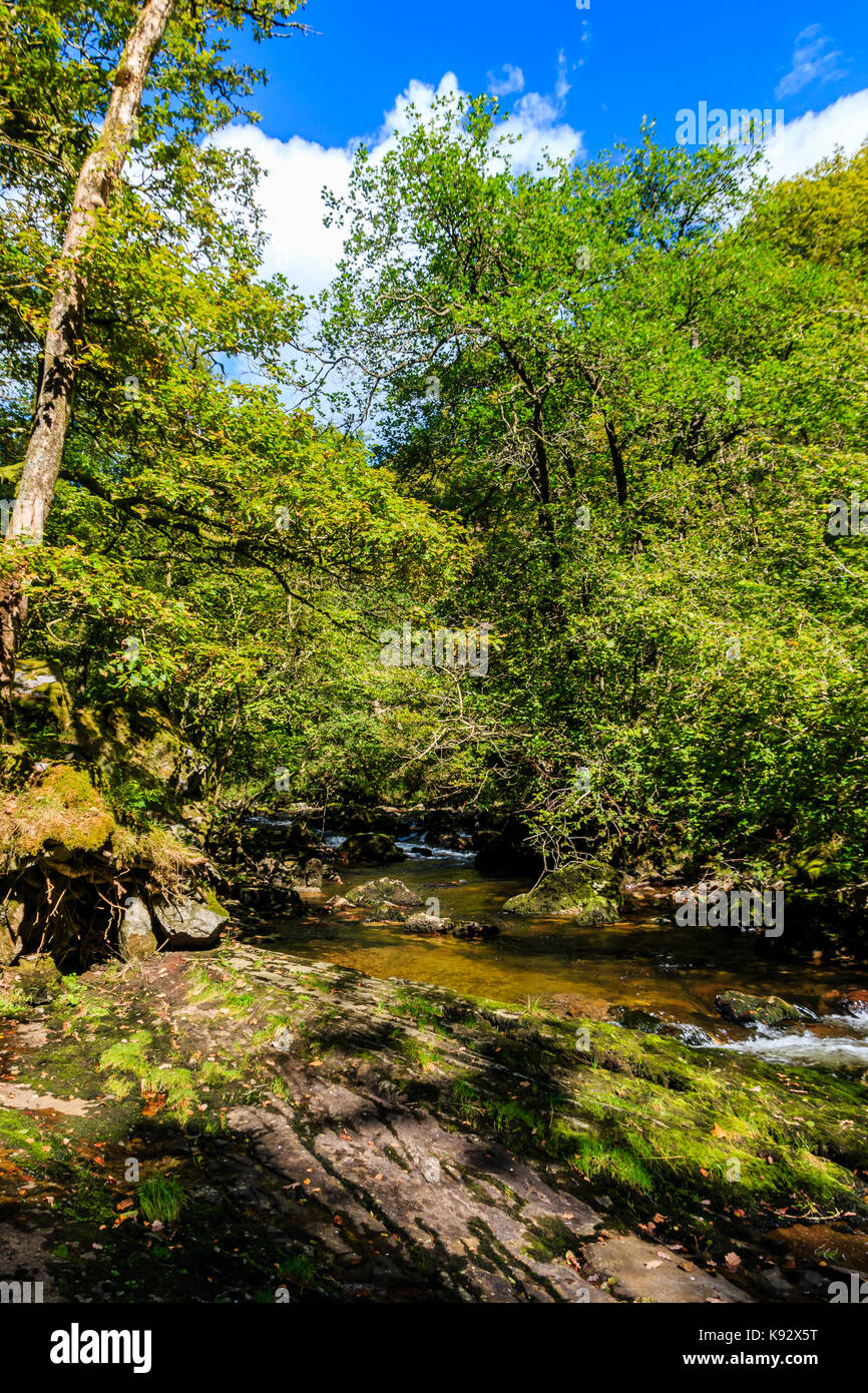 A waterfall surrounded by lush green foliage Stock Photo - Alamy