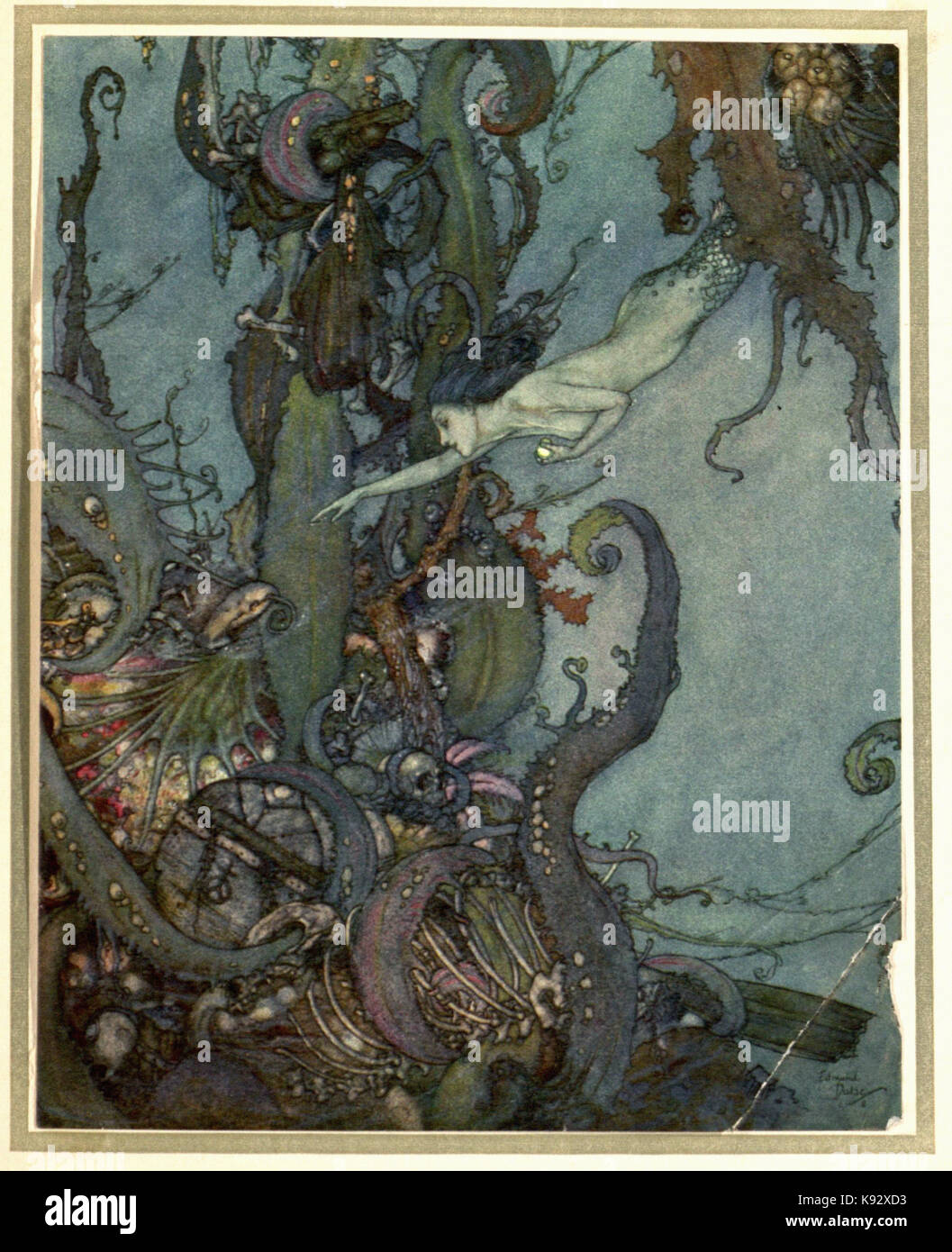 Edmund Dulac illustration -  little mermaid Stock Photo