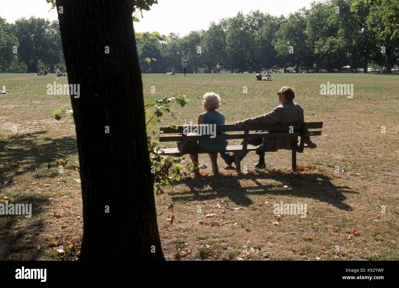 back view of elderly couple seated on park bench in the sunshine Stock ...