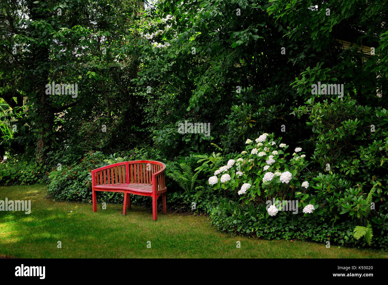 bench, rest, reset, park, trees, calm, energy, nature, greenery, spring, summer, nature, Stock Photo