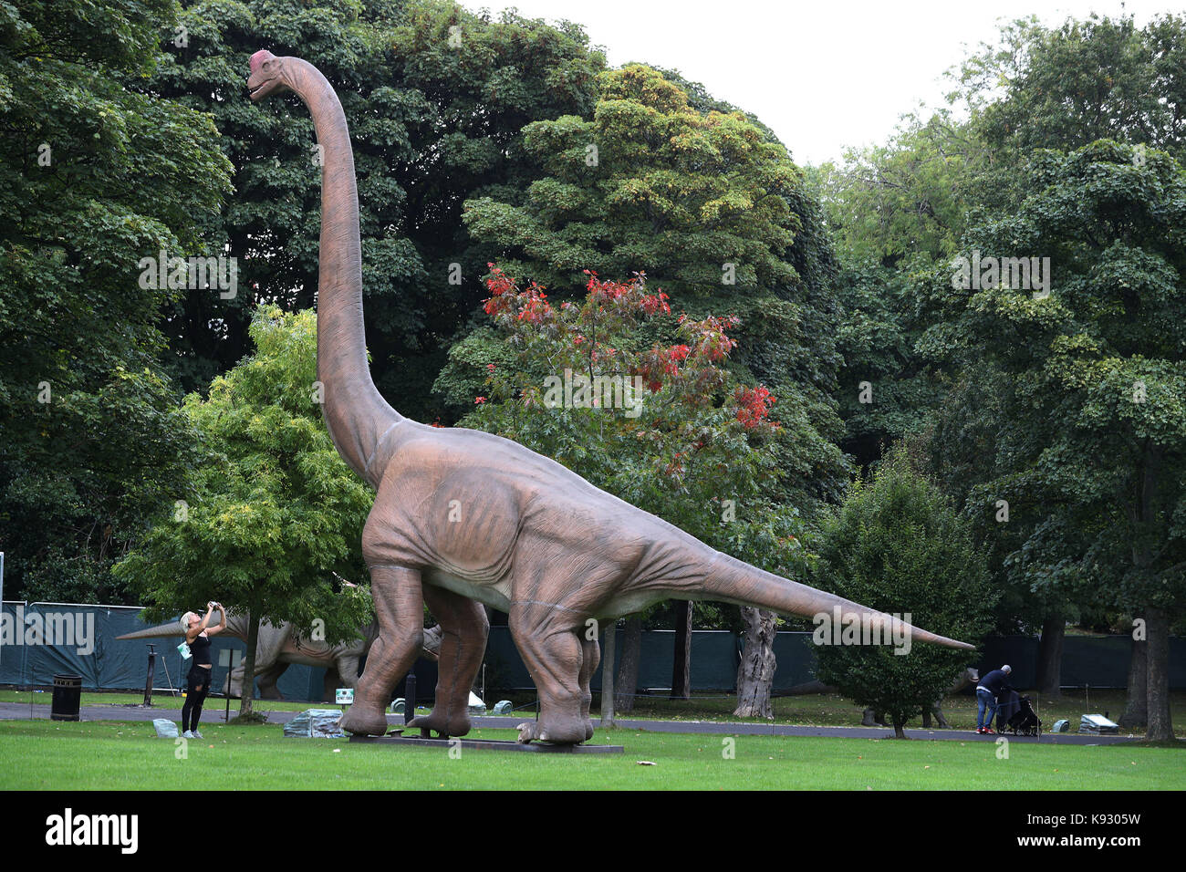 The woman photographs a Brachiosaurus as the Jurassic Kingdom arrives in Leazes Park, Newcastle. Stock Photo