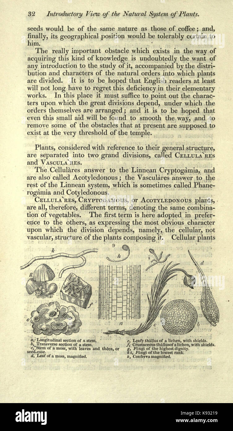 Magazine of natural history and journal of zoology, botany, mineralogy