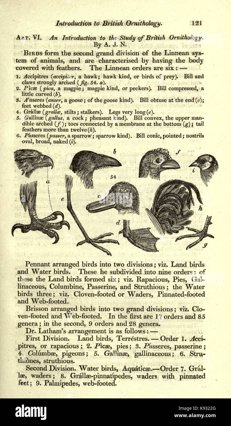 Magazine of natural history and journal of zoology, botany, mineralogy