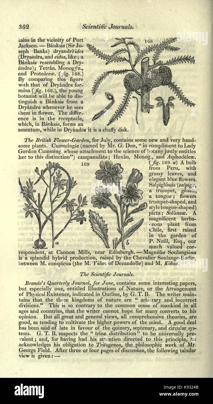 Magazine of natural history and journal of zoology, botany, mineralogy, geology and meteorology (Page 362) BHL2259445 Stock Photo
