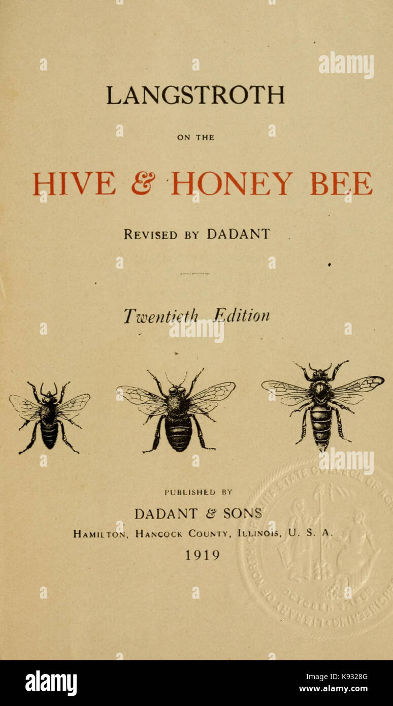 Langstroth on the hive and honey bee BHL18287910 Stock Photo