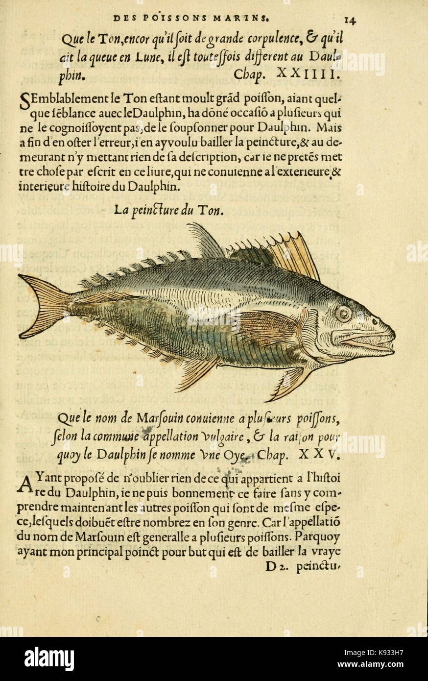 Histoire De Bretagne Par H. Poisson – Livre Ancien En Bon état – Réf V2154459