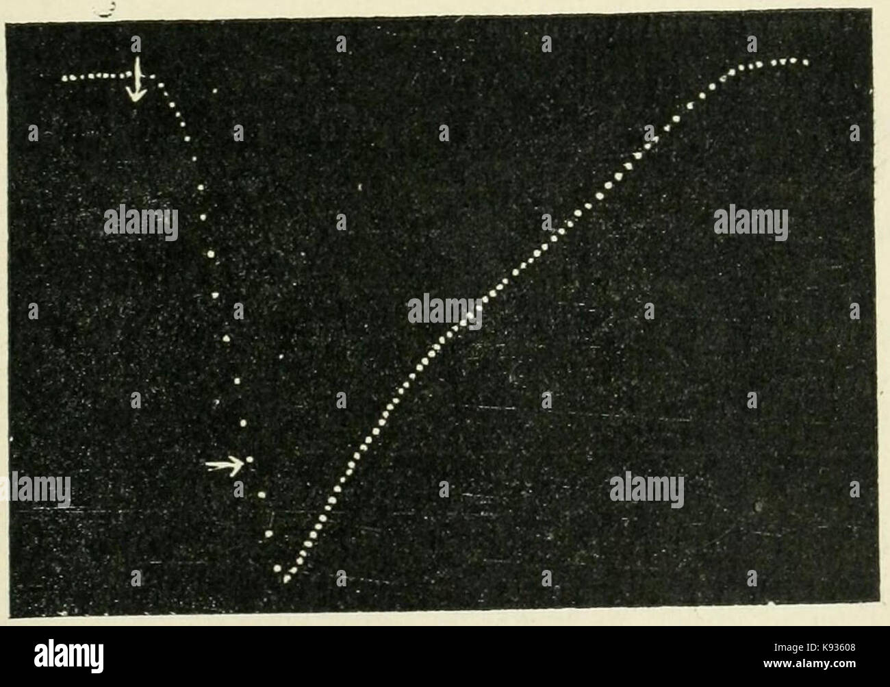 Life Movements in Plants Vol 1 Fig 13 Stock Photo Alamy