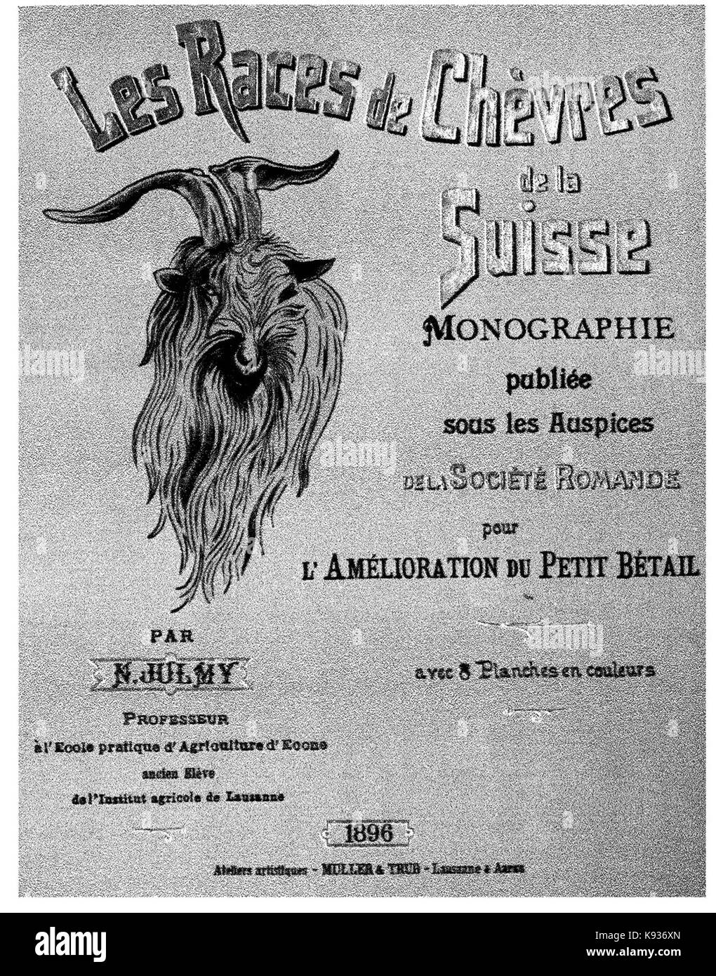 Suisse Black And White Stock Photos Images Page 3 Alamy