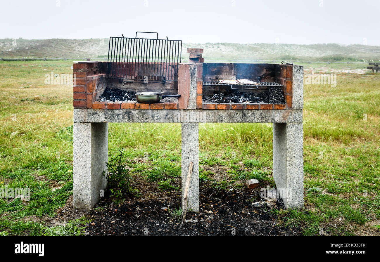 Making Fish On A Bbq Barbecue Grill Over Hot Coal Preparing And