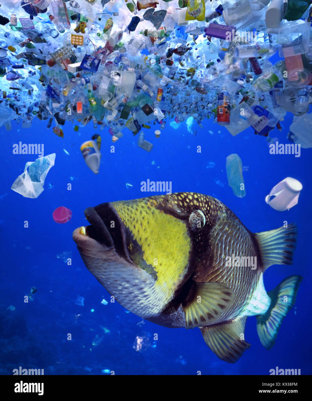 Sea Animals Eating Rubbish