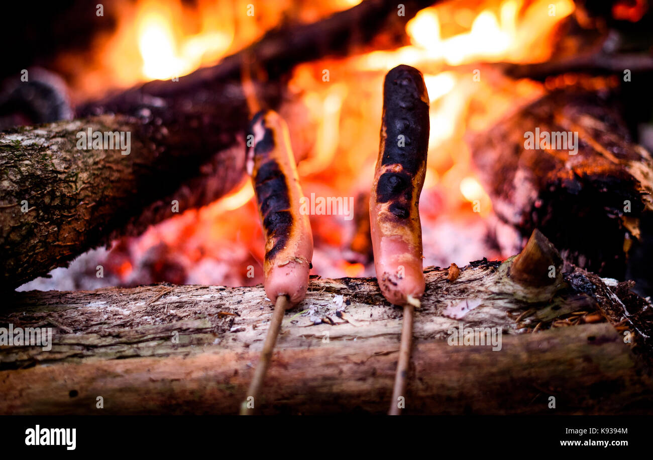 Making and cooking Hot dog sausages over open camp fire. Grilling food