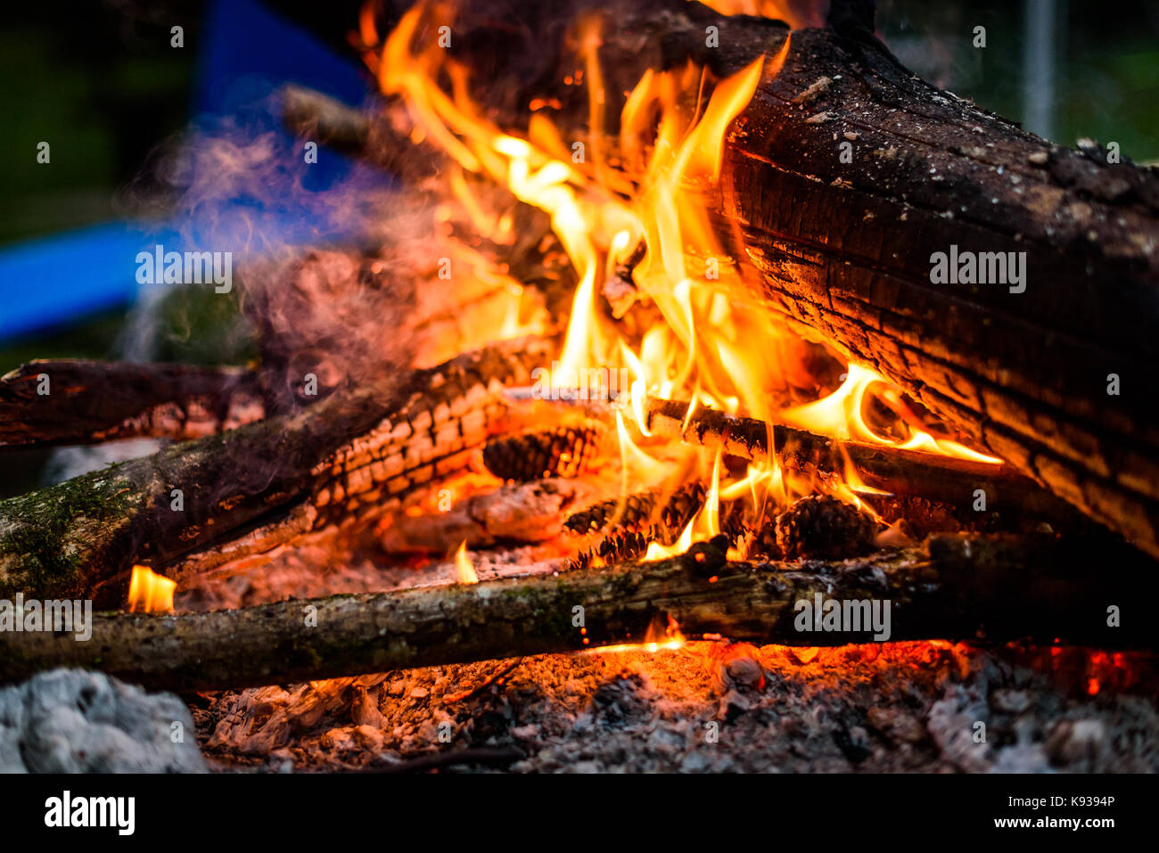 Camp fire in the night with burning wood and flames. Hot fire in the ...