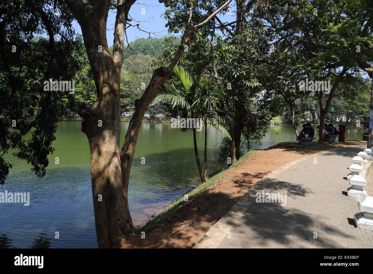 Kandy Sri Lanka Trees over Hanging Kandy Lake Kiri Muhuda Large Artificial Lake Created In 1807