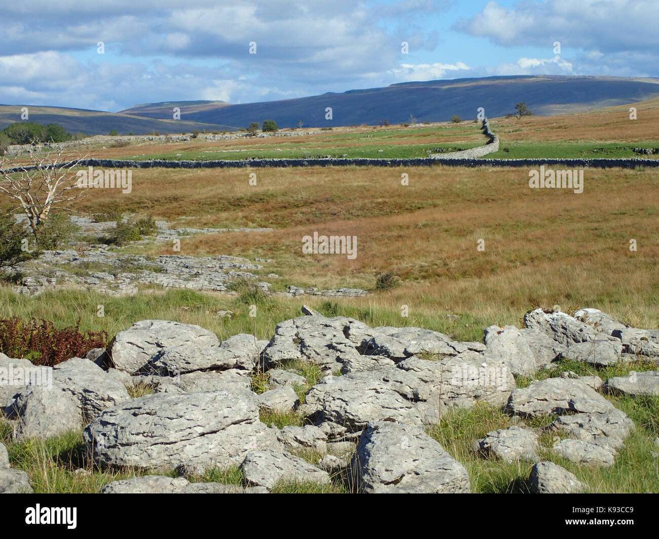 Ingleborough, one of the Yorkshire Three Peaks, Yorkshire Dales National Park, Yorkshire