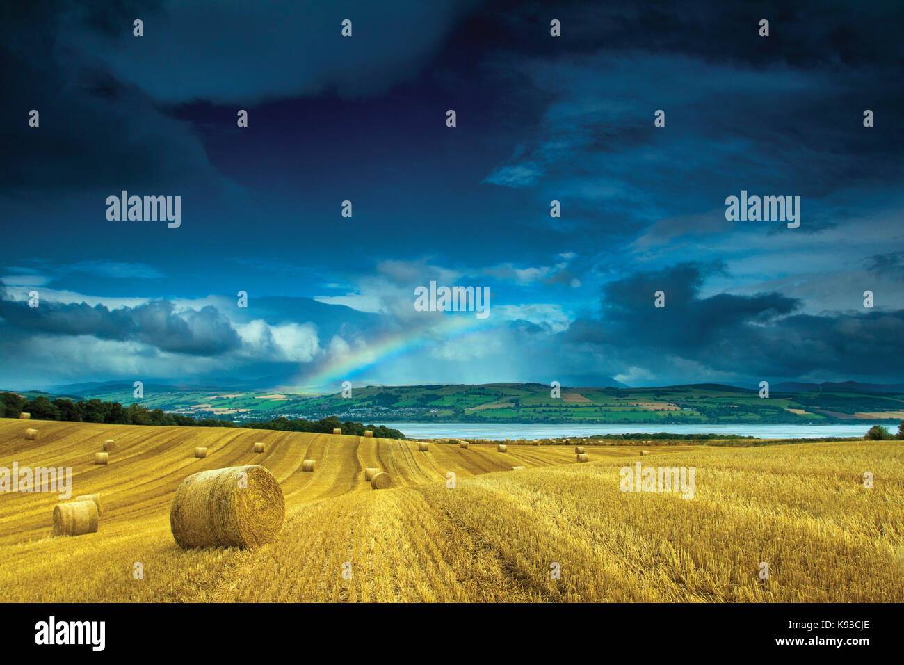 Hay Bales above the Cromarty Firth, Ross & Cromarty, Northwest Highlands Stock Photo