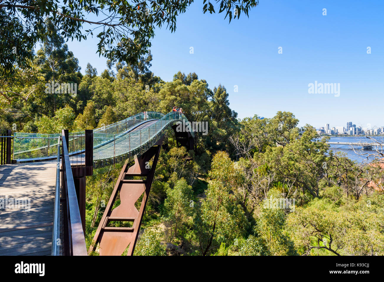 People on the Kings Park Lotterywest Federation Walkway Bridge with views  over towards Perth city, Western Australia, Australia Stock Photo - Alamy