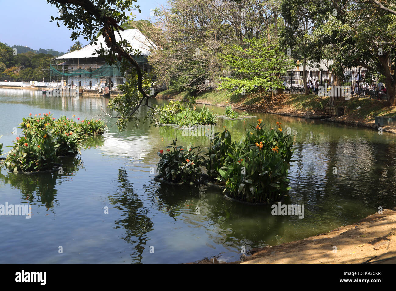 Kandy Sri Lanka Kandy Lake Kiri Muhuda Biso Ulpen Ge (Queen's Bath) under scaffolding and flowers Stock Photo