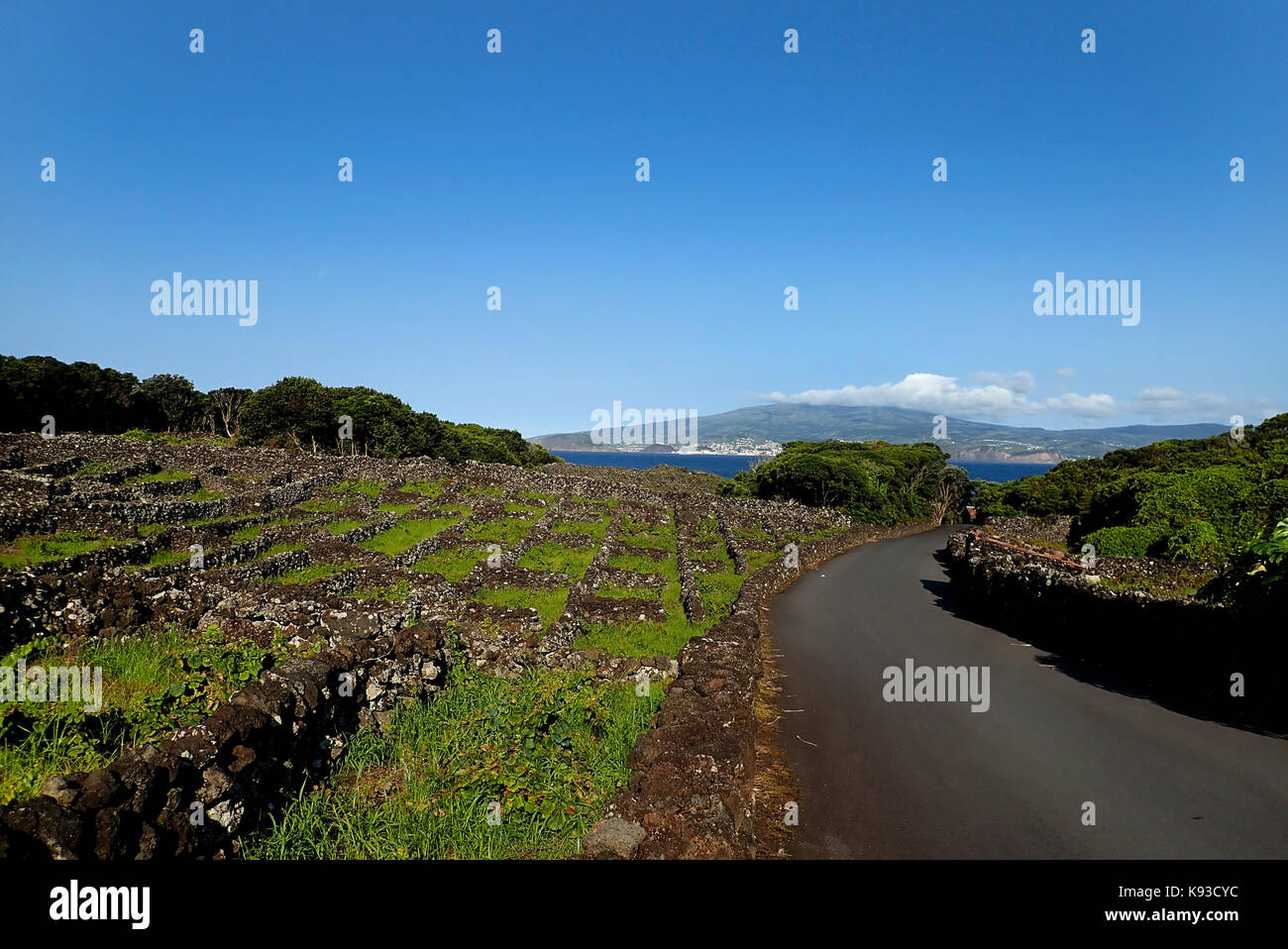 Vineyards Madalena Island Pico Azores Portugal Europe Stock Photo - Alamy
