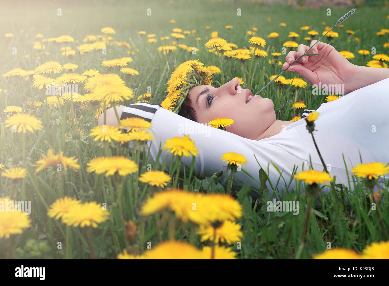 girl resting on a sunny day in meadow of yellow dandelions Stock Photo ...
