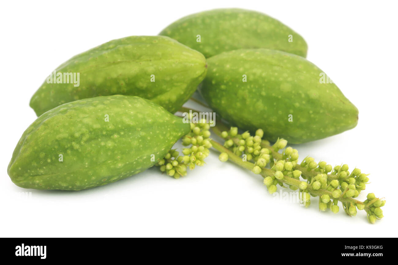 Fresh green medicinal haritaki fruits  over white background Stock Photo