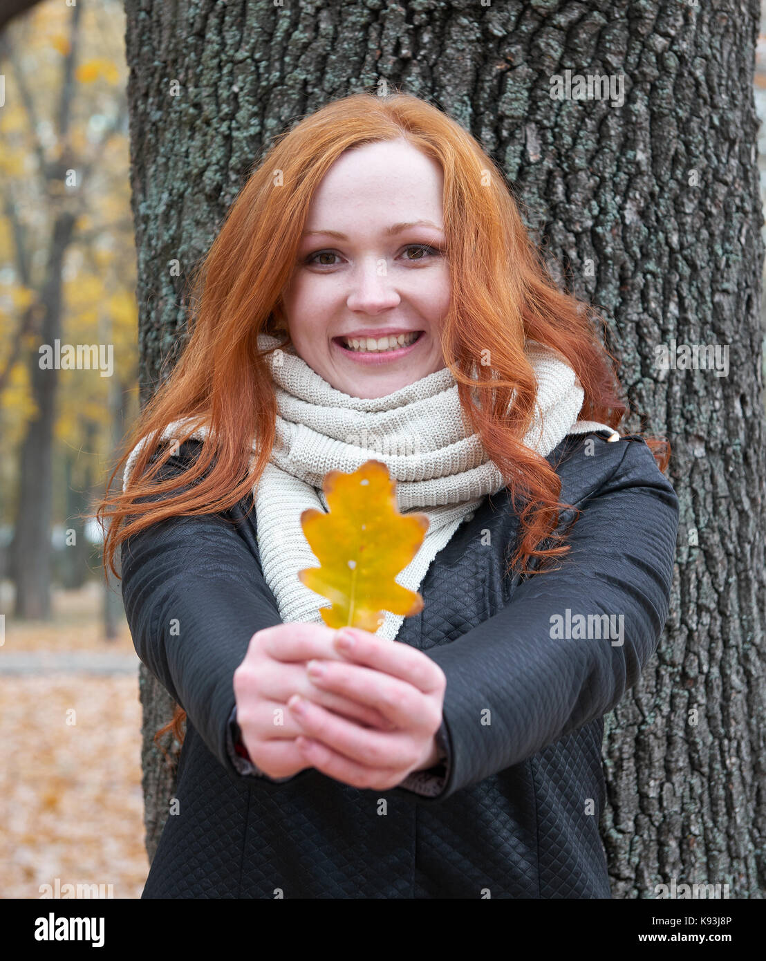 young woman stand near tree in autumn park and give yellow leaf Stock ...