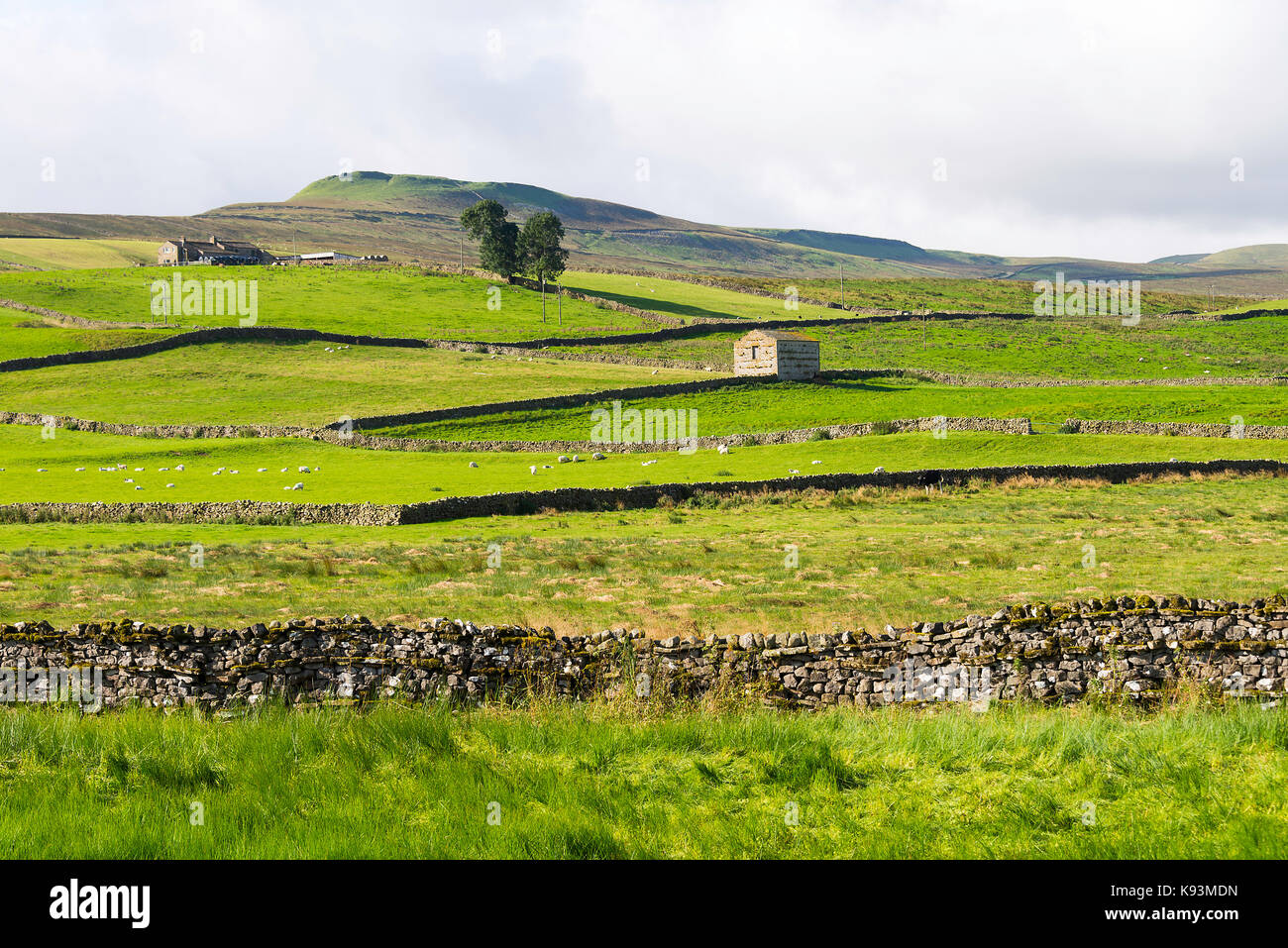 The View Towards Gayle and Dodd Fell from Bainbridge in the Yorkshire Dales National Park Yorkshire England United Kingdom UK Stock Photo
