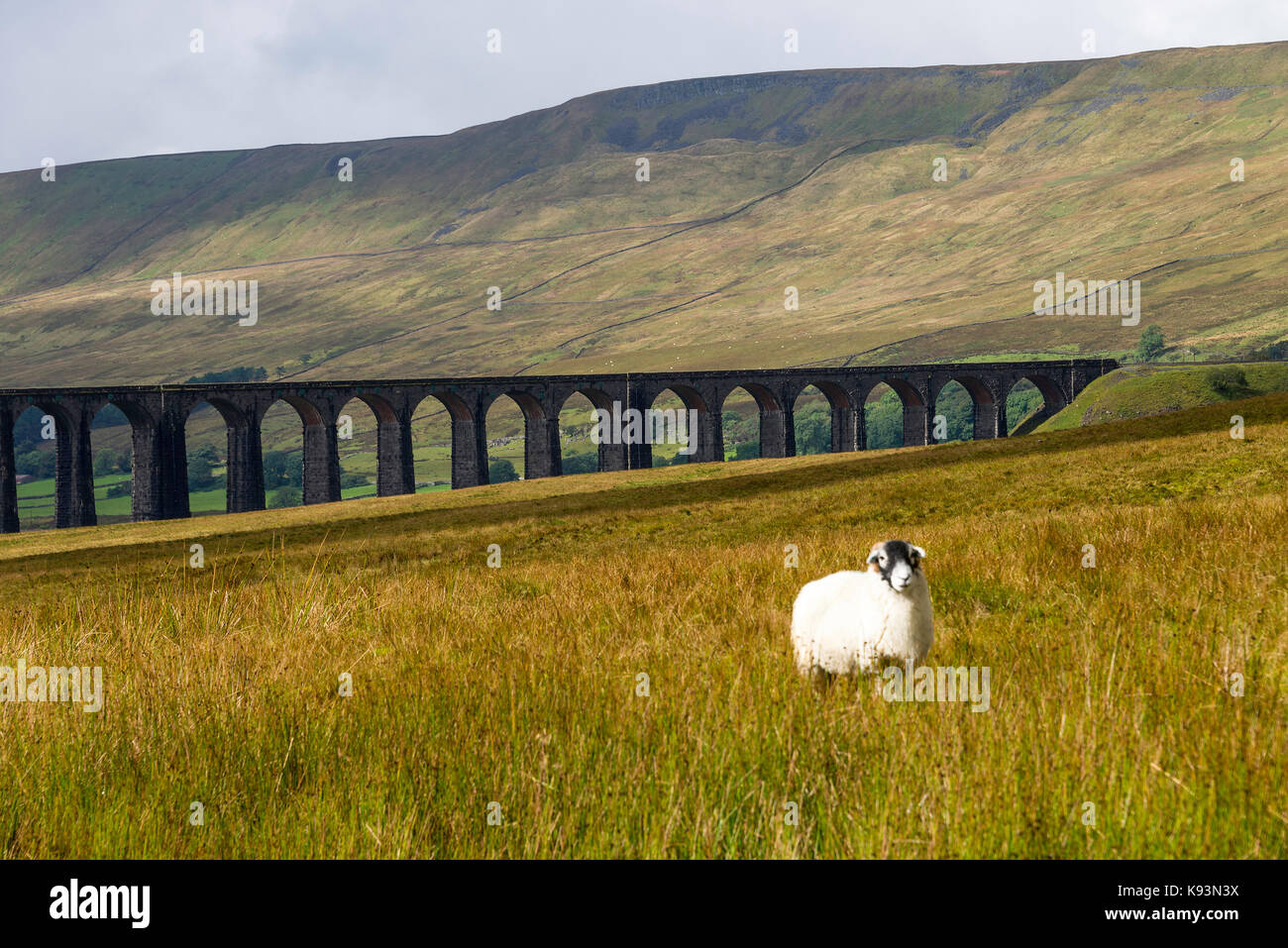 The Ribblehead Viaduct Carrying Settle to Carlisle Railway over Batty Moss at Ribblehead North Yorkshire England United Kingdom UK Stock Photo