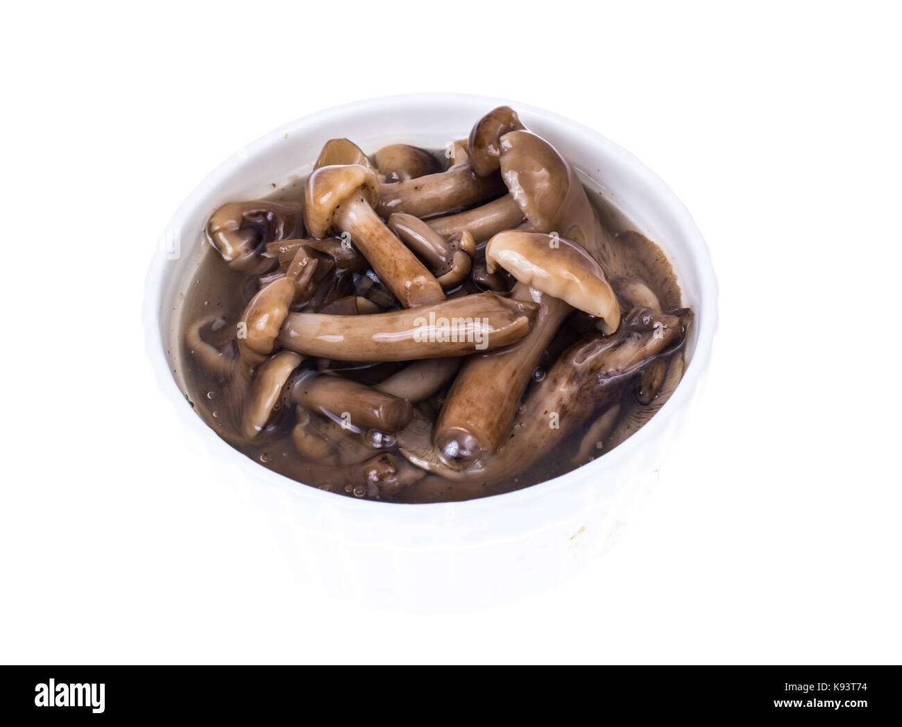 Pickled honey agaric mushrooms on white background. Studio Photo Stock