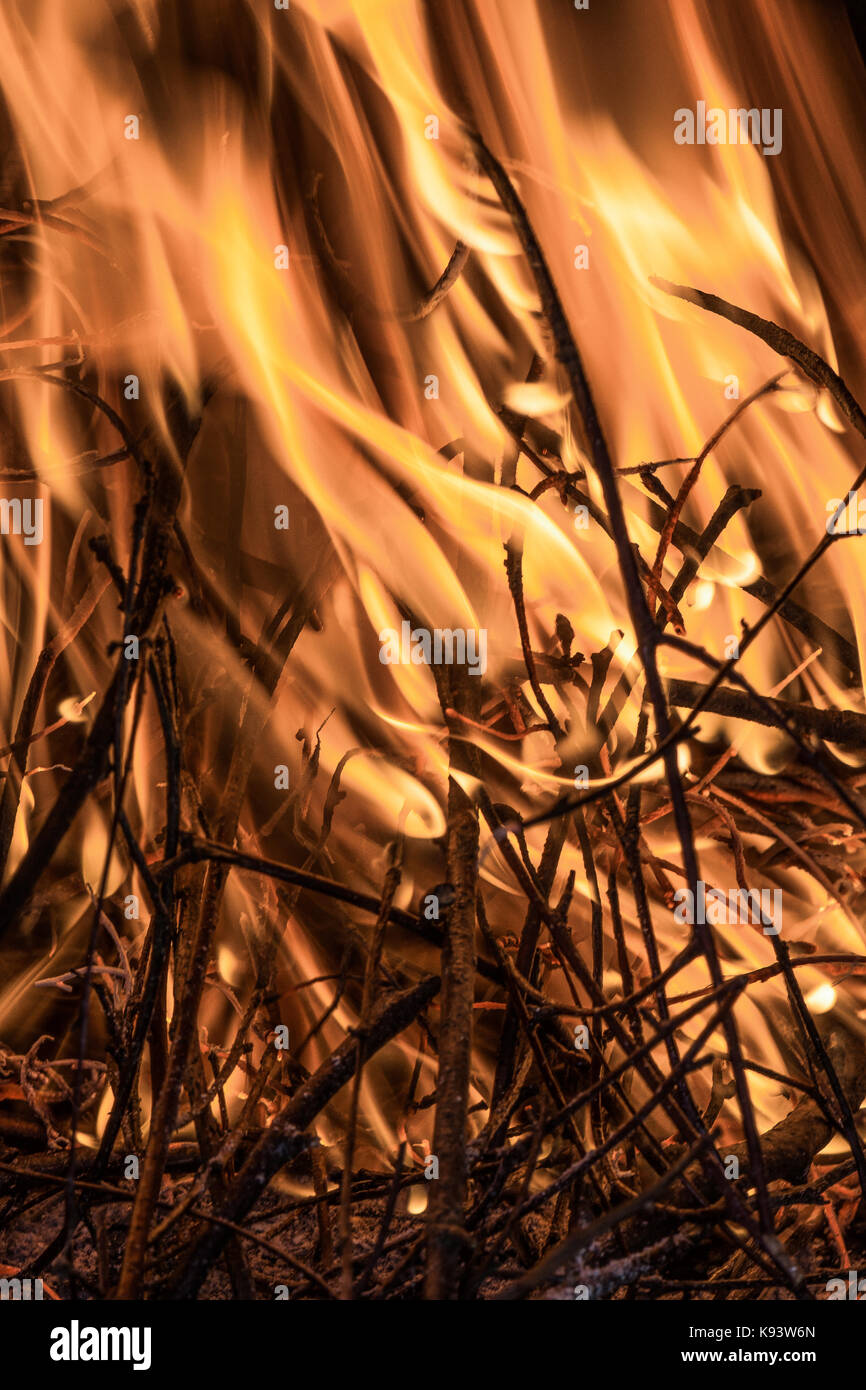 burning Wood, Hamburg, Germany Stock Photo