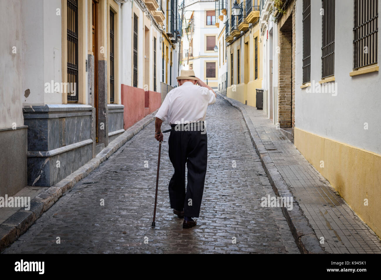 Rear view of elderly man with cane walking along cobbled street in ...