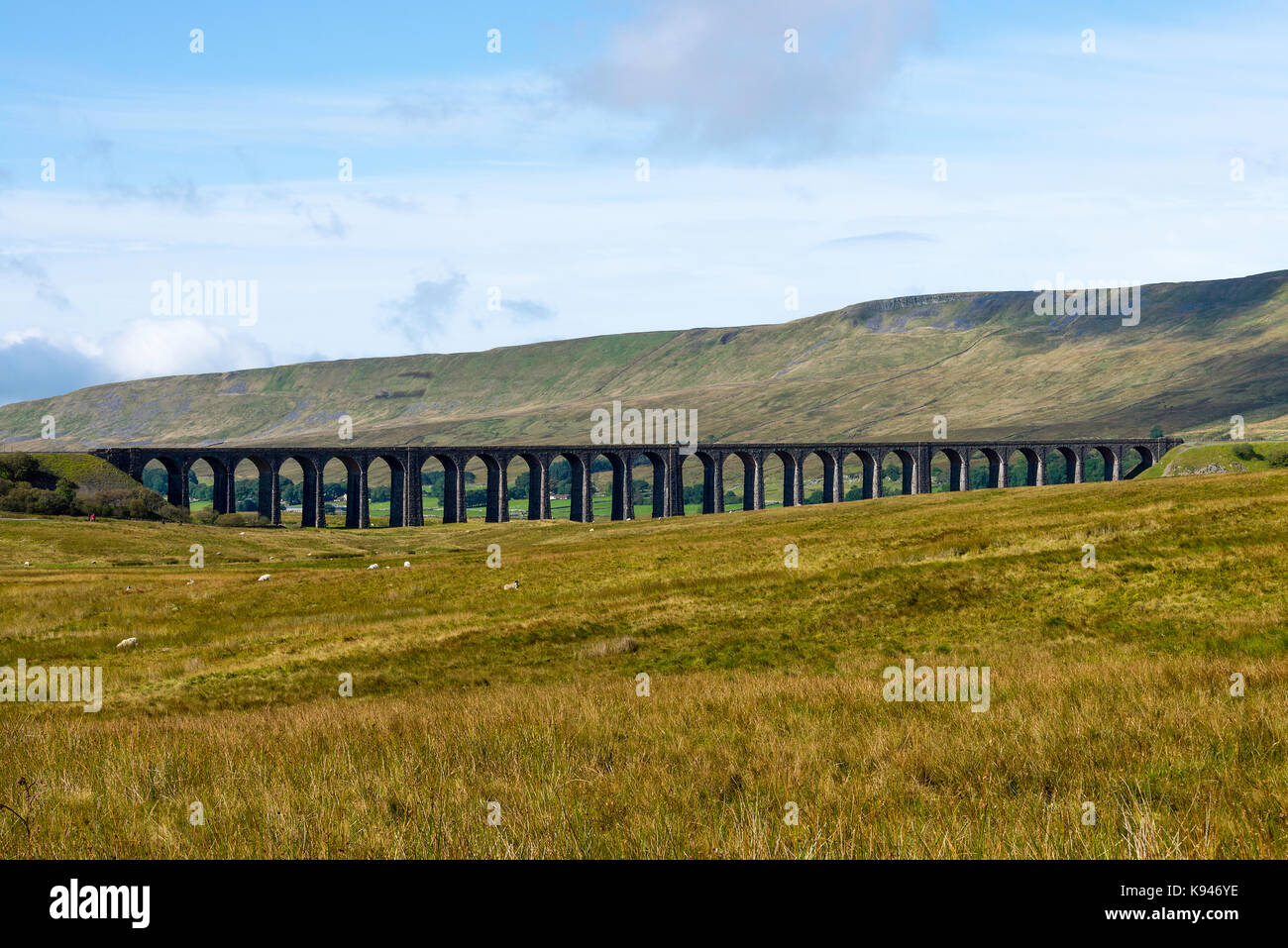 The Ribblehead Viaduct Carrying Settle to Carlisle Railway over Batty Moss at Ribblehead North Yorkshire England United Kingdom UK Stock Photo