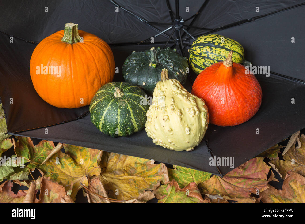 Pumpkins lying among autumn leaves Stock Photo - Alamy