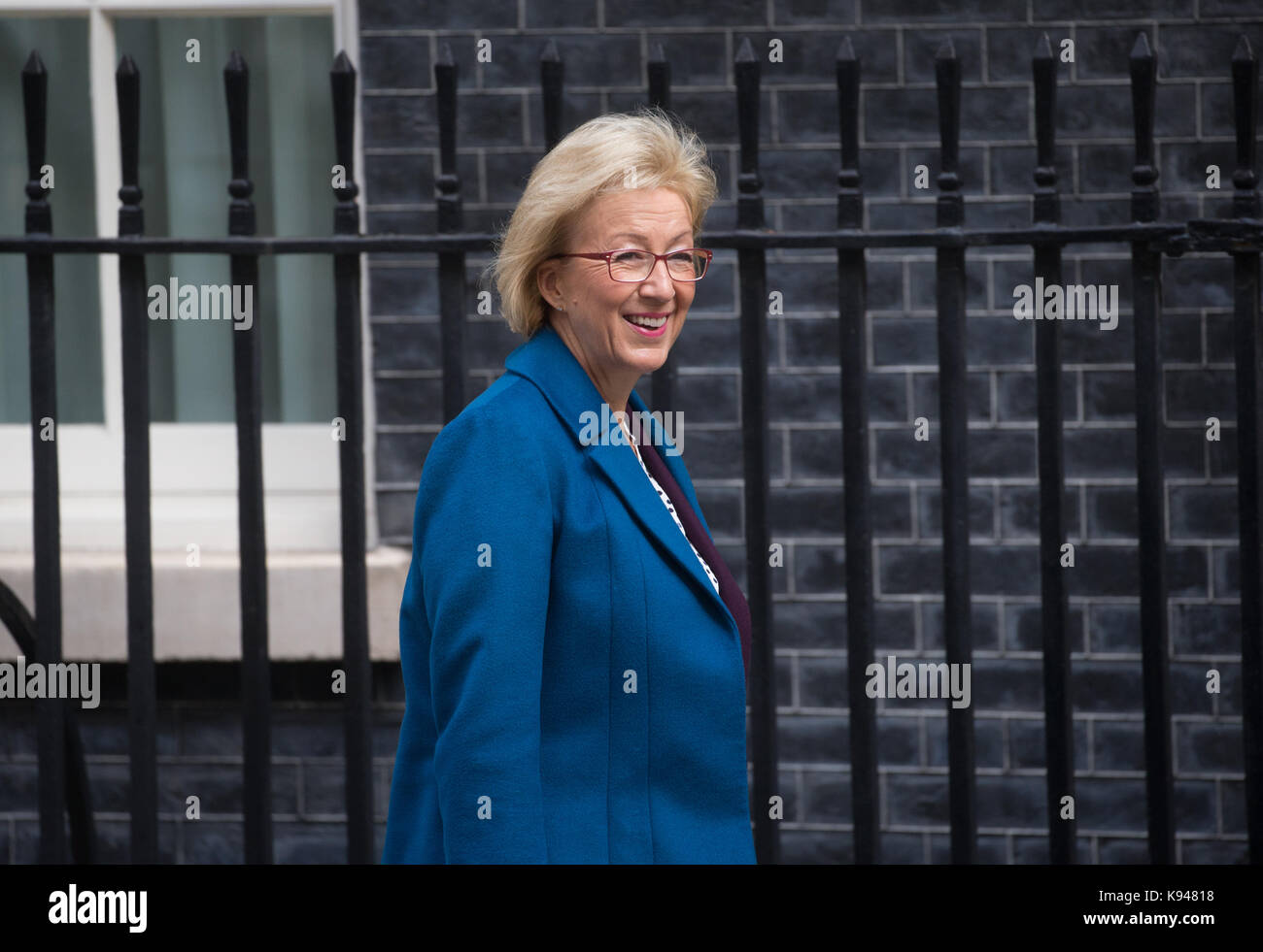 Andrea Leadsom, Leader of the House of Commons and Lord President of the Council, arrives at 10 Downing Street for a cabinet meeting Stock Photo