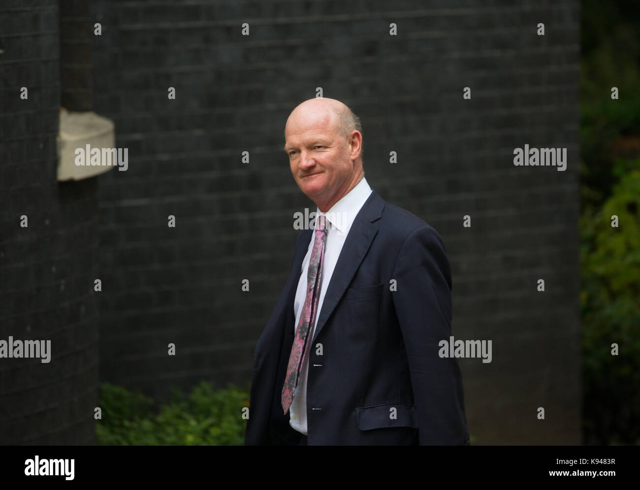 David Willets, Baron Willetts, Minister of State for Universities and Science, arrives at Number 10 Downing Street for a Cabinet meeting. Stock Photo